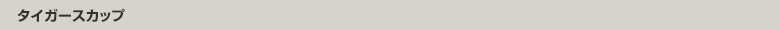 タイガースカップ