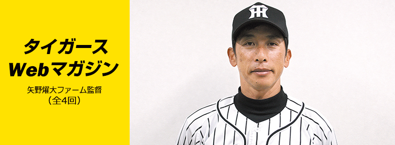 タイガースWebマガジン 2017年12月矢野燿大ファーム監督