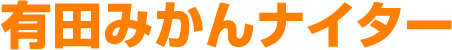 有田みかんナイター