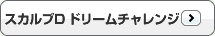 ドリームチャレンジ