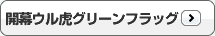 開幕ウル虎グリーンフラッグ
