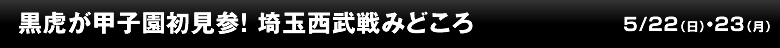 黒虎が甲子園初見参！埼玉西武戦みどころ