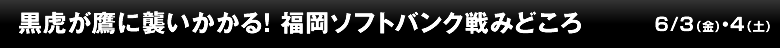 黒虎が鷹に襲いかかる！福岡ソフトバンク戦みどころ