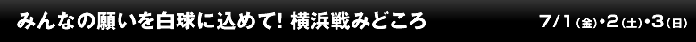 みんなの願いを白球に込めて！　横浜戦みどころ