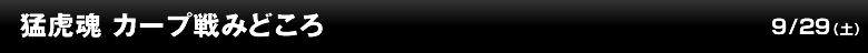 猛虎魂 カープ戦みどころ