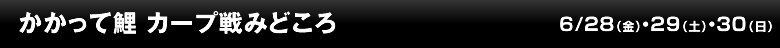 かかって鯉　カープ戦みどころ