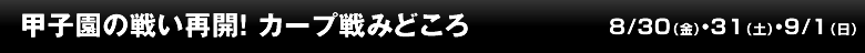 甲子園の戦い再開！ カープ戦みどころ