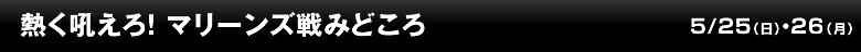 熱く吼えろ！ マリーンズ戦みどころ