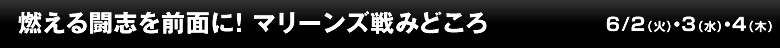 燃える闘志を前面に！マリーンズ戦みどころ
