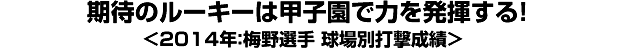 期待のルーキーは甲子園で力を発揮する！＜2014年：梅野選手 球場別打撃成績＞