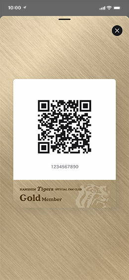 キャプチャ画像