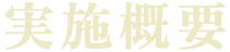 実地概要