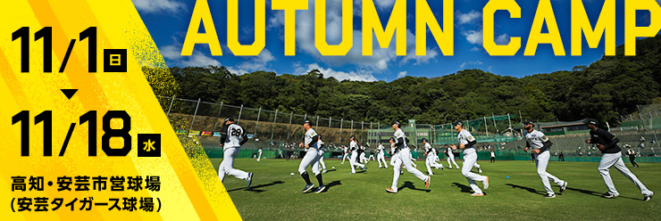 阪神タイガース秋季キャンプ特集2026
