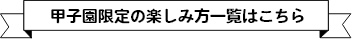 甲子園の楽しみ方